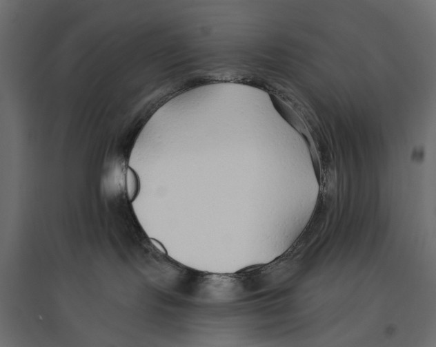 X0000096990095200803071104