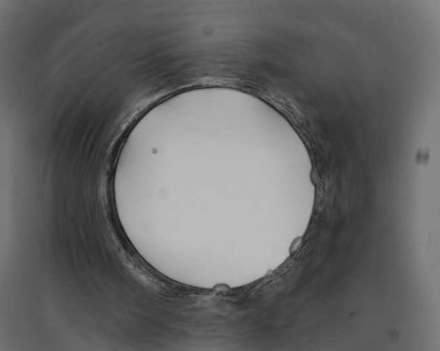 X0000096990098200803071103