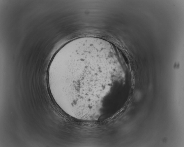 X0000096990099200803071103