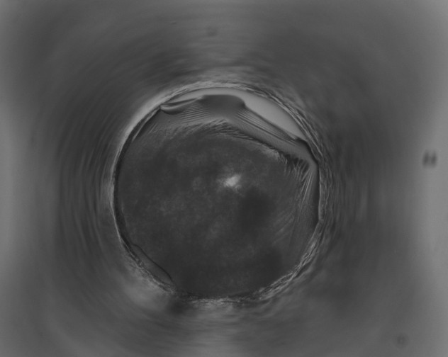 X0000096990100200803071103