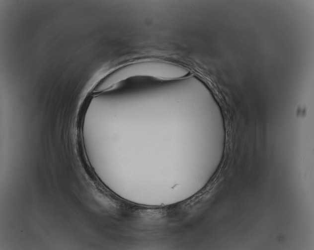 X0000096990102200803071103