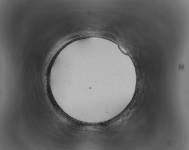 X0000096990103200803071103