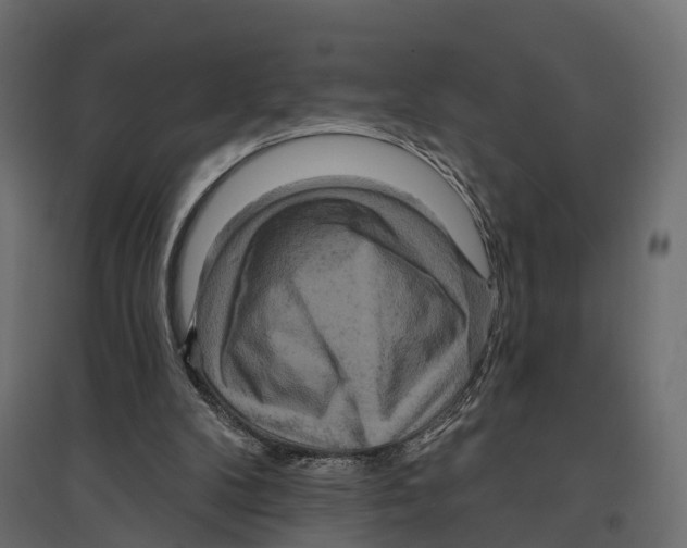 X0000096990104200803071103