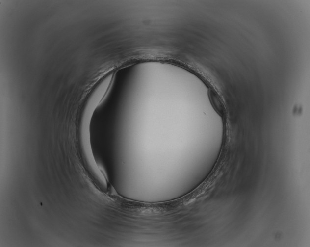 X0000096990105200803071103