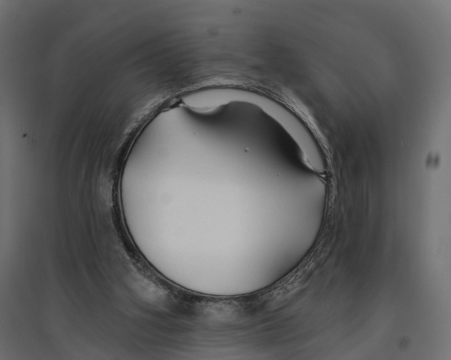 X0000096990106200803071103