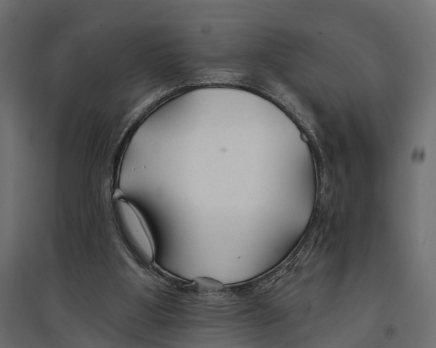 X0000096990107200803071103