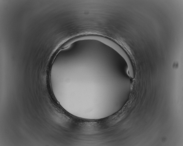 X0000096990108200803071103