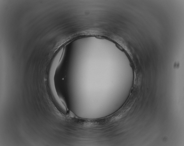 X0000096990109200803071103