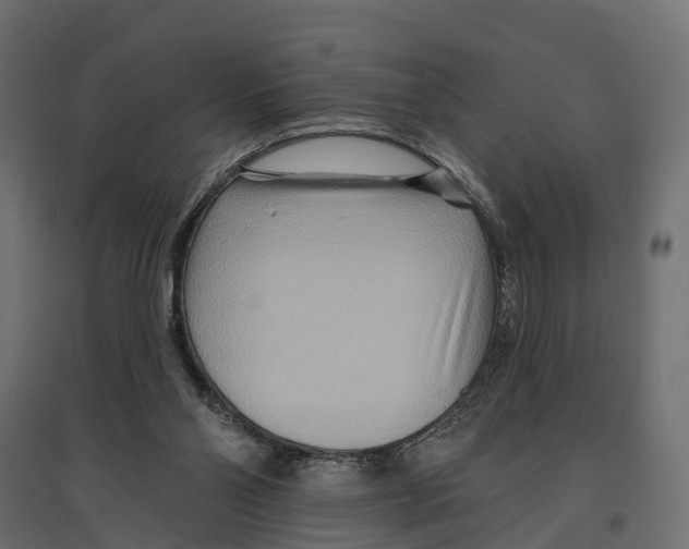 X0000096990110200803071103