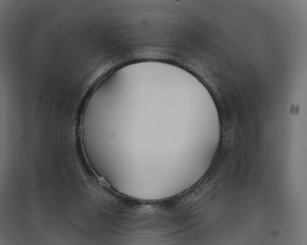 X0000096990111200803071103