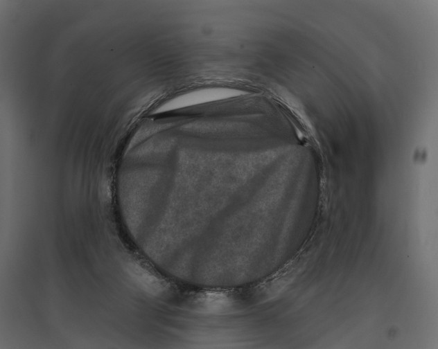 X0000096990114200803071103