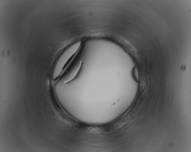 X0000096990115200803071103