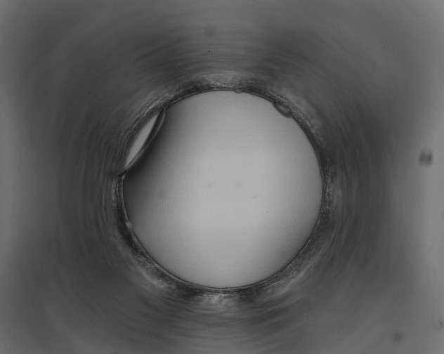 X0000096990117200803071103