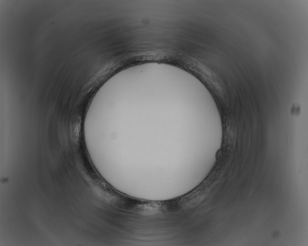 X0000096990118200803071103