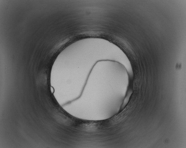 X0000096990120200803071103