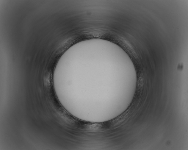 X0000096990122200803071102