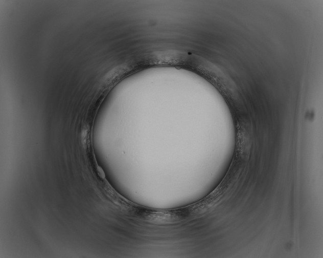 X0000096990123200803071102