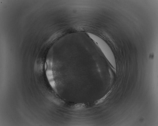 X0000096990124200803071102