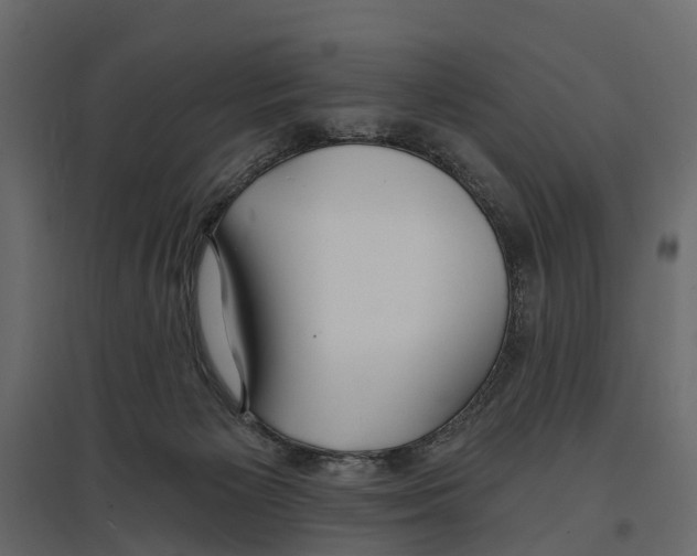 X0000096990125200803071102