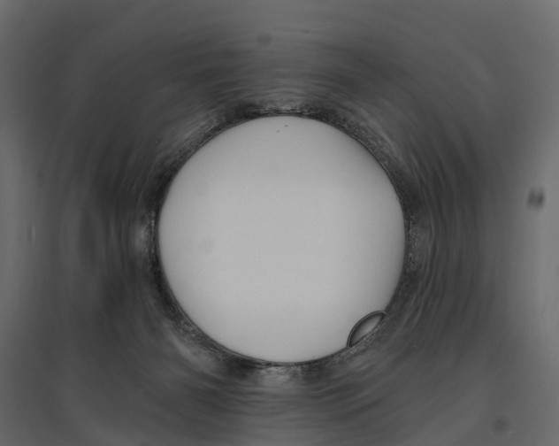 X0000096990126200803071102