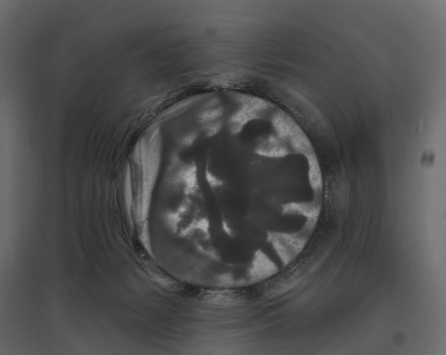 X0000096990127200803071102