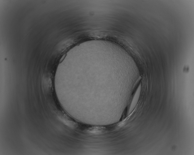 X0000096990128200803071102