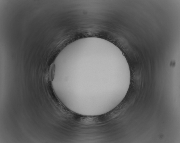 X0000096990129200803071102