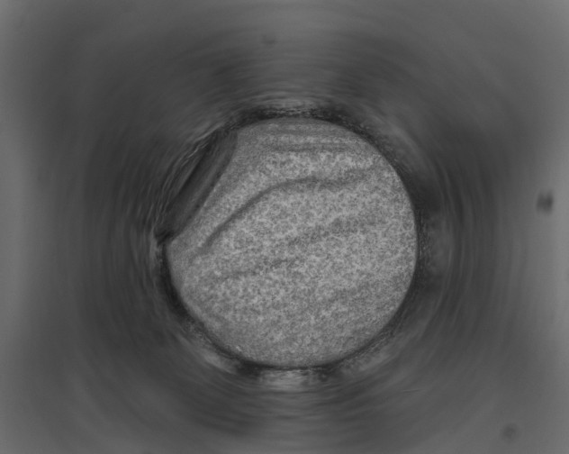 X0000096990131200803071102