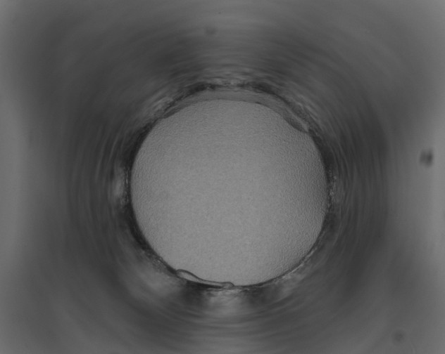 X0000096990132200803071102