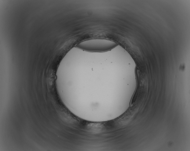 X0000096990133200803071102