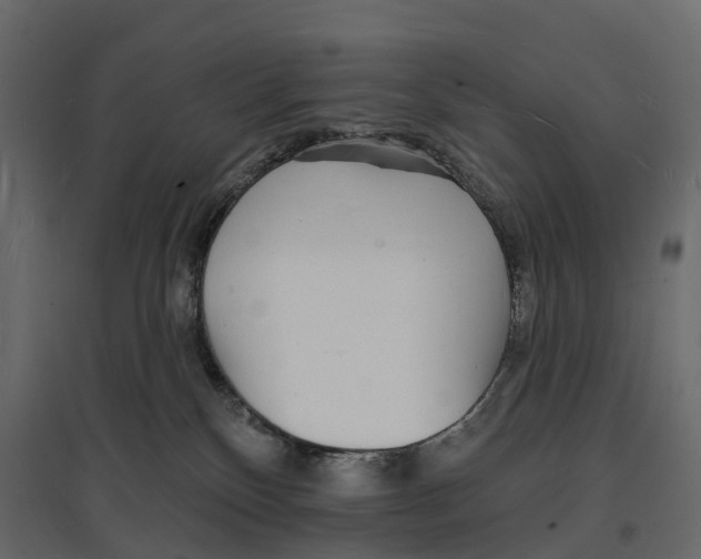 X0000096990136200803071102