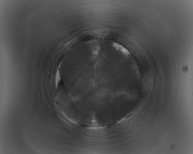 X0000096990137200803071102