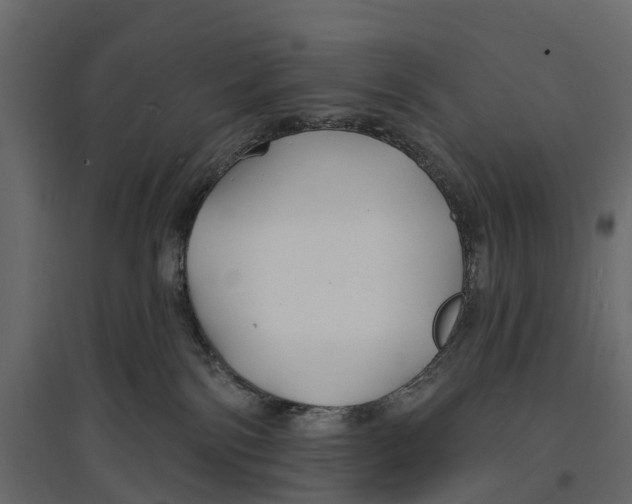 X0000096990138200803071102