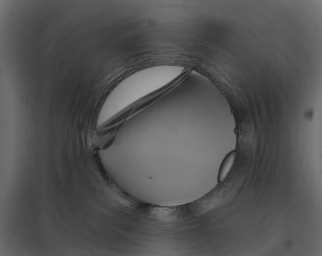 X0000096990139200803071102