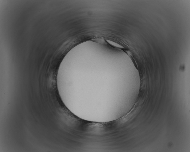 X0000096990140200803071102