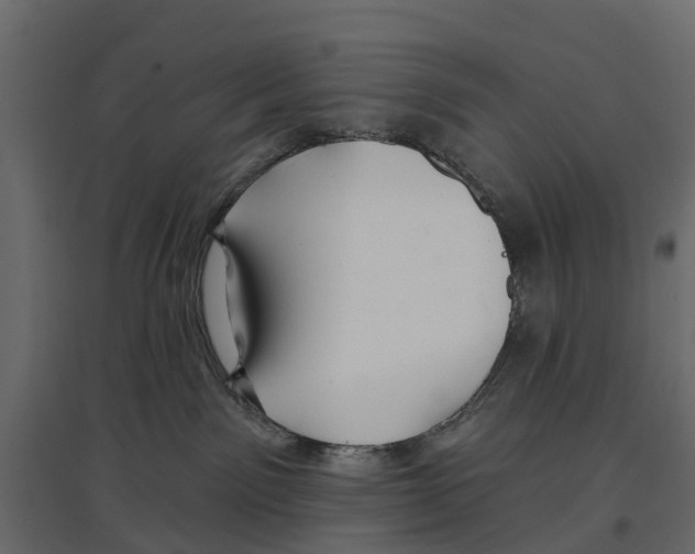 X0000096990141200803071102