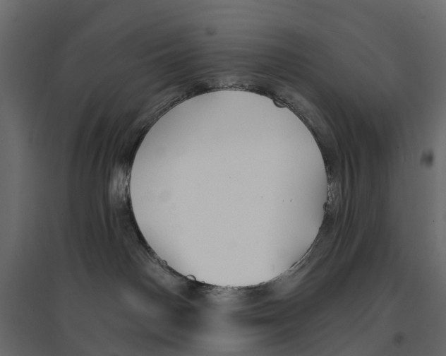 X0000096990142200803071102