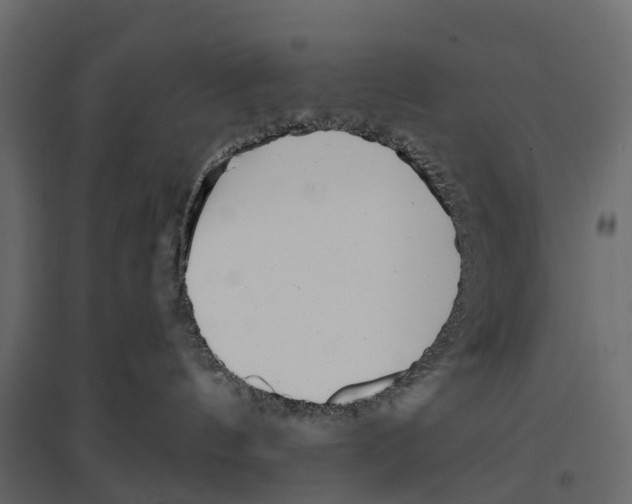 X0000096990144200803071102