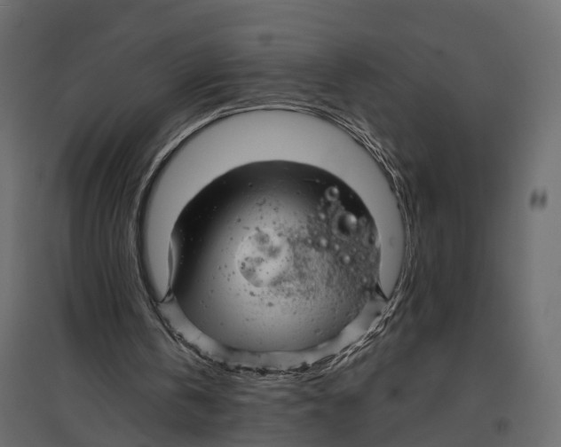 X0000096990146200803071101