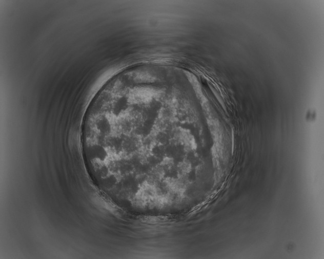 X0000096990147200803071101