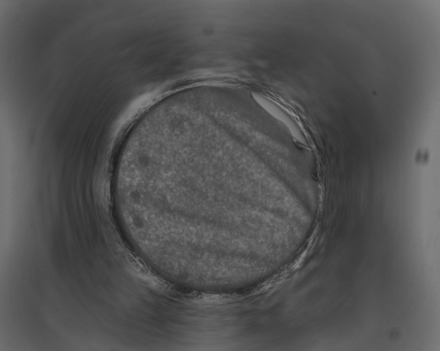 X0000096990149200803071101