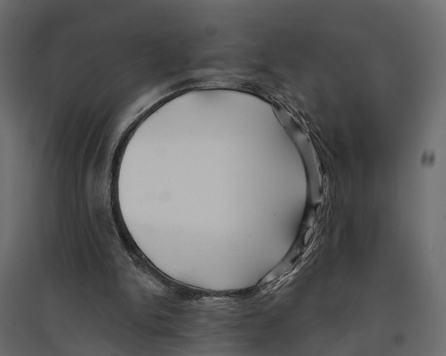 X0000096990150200803071101