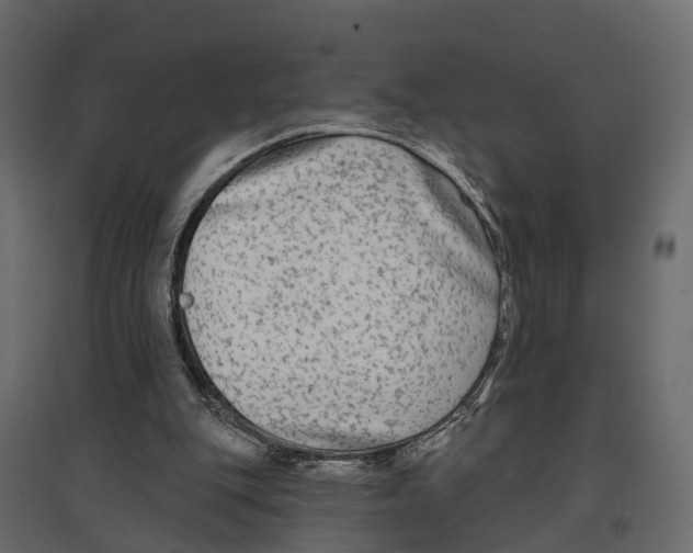 X0000096990151200803071101