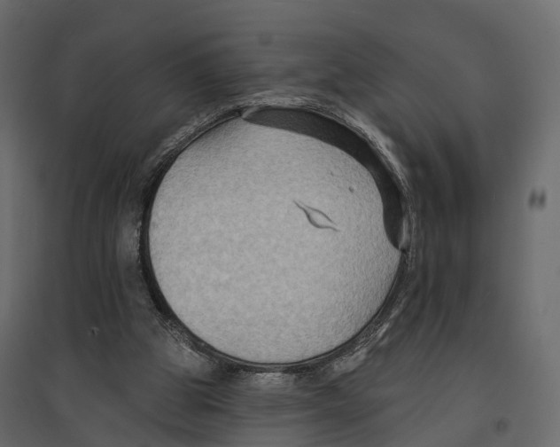 X0000096990153200803071101