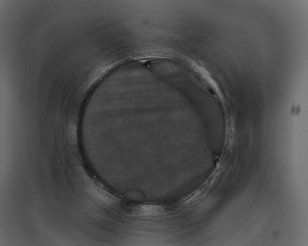 X0000096990154200803071102