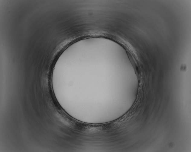 X0000096990155200803071102