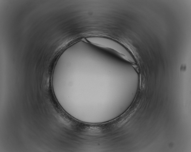 X0000096990157200803071102