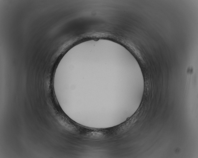 X0000096990159200803071102