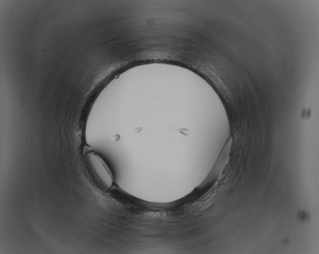 X0000096990160200803071102