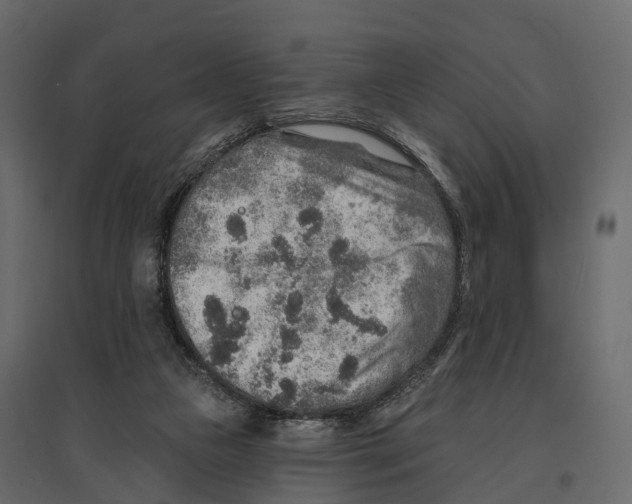 X0000096990161200803071102